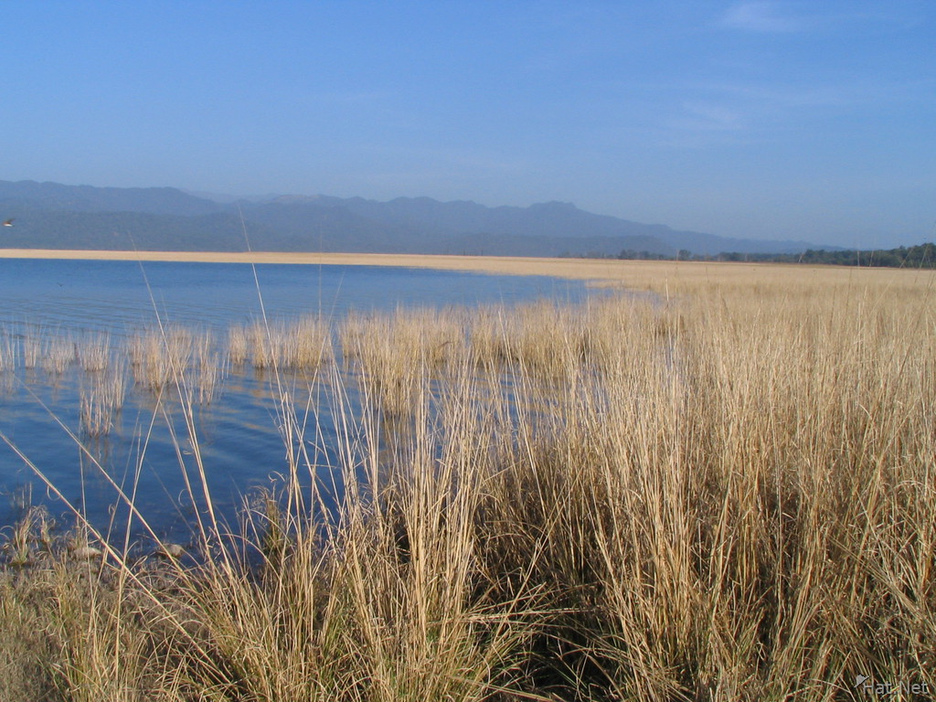 lake near dhikala