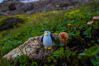 hrafntinnusker penguin South,  Iceland, Europe