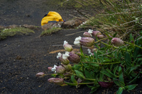 Emstrur and Botnar South,  Iceland, Europe