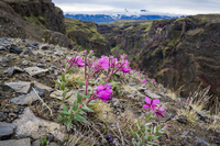 Markarfljot Canyon South,  Iceland, Europe