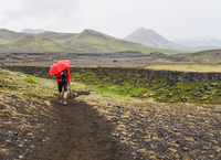 thorsmork red hiker in red umbrella South,  Iceland, Europe