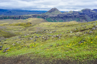 fimmvorduhals South,  Iceland, Europe