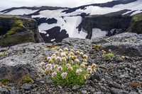 fimmvorduhals South,  Iceland, Europe