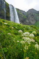 Seljalandsfoss South,  Iceland, Europe