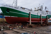 Reykjavik green boat Old West Side,  Reykjavík,  Capital Region,  Iceland, Europe