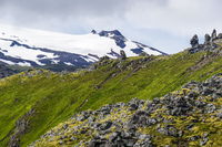 Snaefellsjokull glacier Vik,  West,  Iceland, Europe