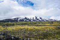 Snaefellsjokull icefield Vik,  West,  Iceland, Europe