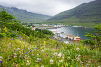 Tvisongur Seyðisfjörður,  East,  Iceland, Europe