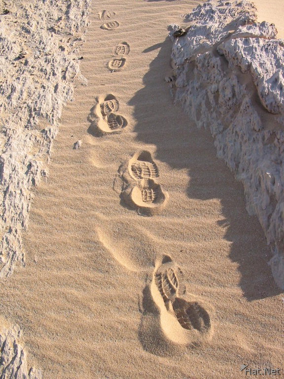 footprints in white desert