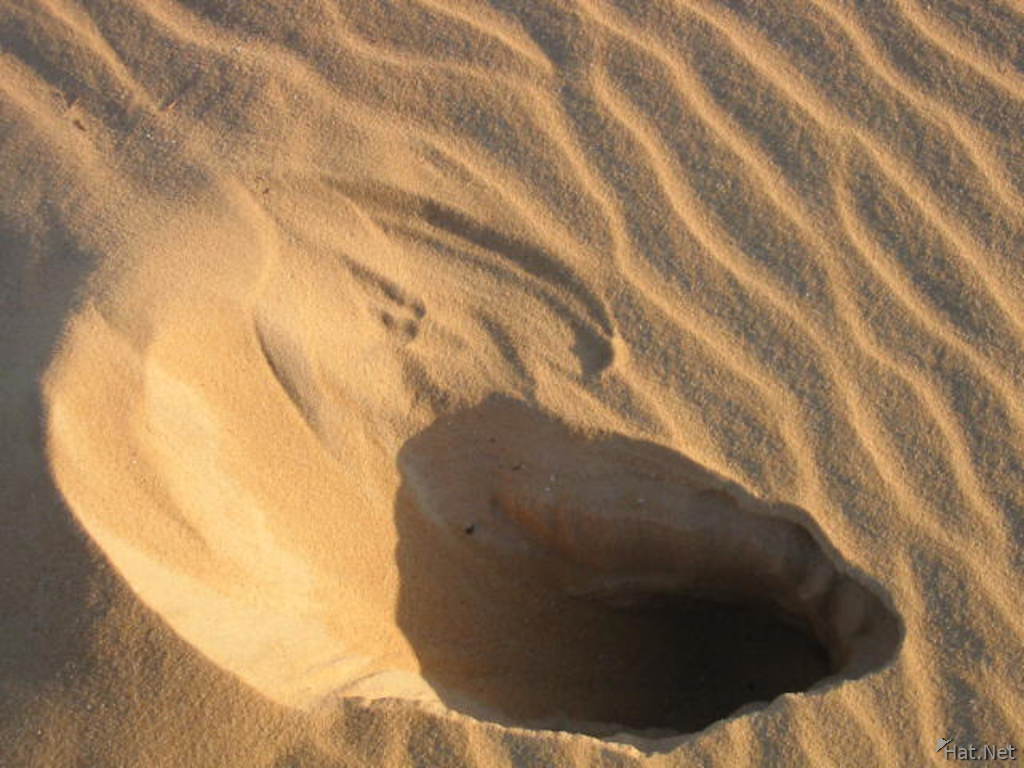 Dig A Sand Hole And Find Only Sands