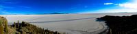 island of fish Salar de Uyuni, Potosi Department, Bolivia, South America