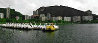 swan boats Rio de Janeiro, Rio de Janeiro, Brazil, South America