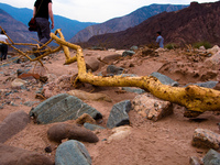 view--dead finger in quebrada Cafayate, Jujuy and Salta Provinces, Argentina, South America