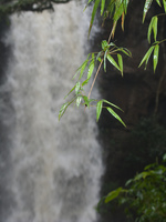 salto chico Puerto Iguassu, Misiones, Argentina, South America