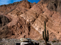 view--tilcara Tilcara, Jujuy and Salta Provinces, Argentina, South America