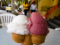 food--vino ice cream Cafayate, Jujuy and Salta Provinces, Argentina, South America