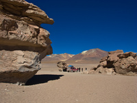 formation in desert of siloli Laguna Colorado, Potosi Department, Bolivia, South America