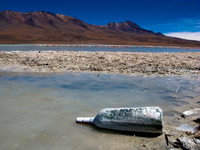 view--bottle in laguna honda Laguna Colorado, Potosi Department, Bolivia, South America