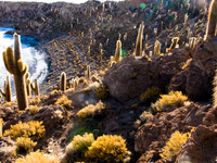 isla del pescado Salar de Uyuni, Potosi Department, Bolivia, South America
