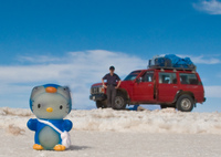 penguin and me Salar de Uyuni, Potosi Department, Bolivia, South America
