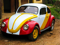 beetle Samaipata, Santa Cruz, Santa Cruz Department, Bolivia, South America