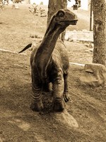 herbosaur baby Sucre, Santa Cruz Department, Bolivia, South America