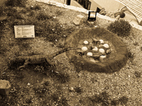 dinosaur eggs Sucre, Santa Cruz Department, Bolivia, South America