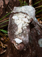 rock face Sao Jorge, Goias (GO), Brazil, South America