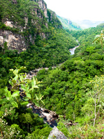 black valley Sao Jorge, Goias (GO), Brazil, South America