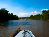 pantanal boat tour Fazenda Santa Clara, Mato Grosso do Sul (MS), Brazil, South America