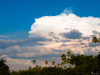 view--sky of pantanal river Fazenda Santa Clara, Mato Grosso do Sul (MS), Brazil, South America