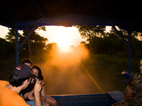 20091101183514_sunset_pantanal