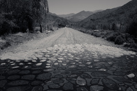 Road to Las Truncas Cachi,  Salta,  Argentina, South America