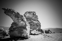 The cursing finger San Pedro de Atacama,  Región de Antofagasta,  Chile, South America