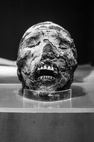 oldest mummy in the world Arica,  Región de Arica y Parinacota,  Chile, South America