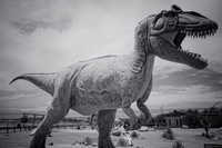 Gigantosaurus Carolini Pica,  Región de Tarapacá,  Chile, South America