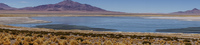 Salar de Tara San Pedro de Atacama,  Región de Antofagasta,  Chile, South America