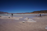 Piedras Rojas Lagoons San Pedro de Atacama,  Región de Antofagasta,  Chile, South America
