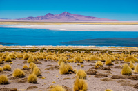 Salar de Tara San Pedro de Atacama,  Región de Antofagasta,  Chile, South America