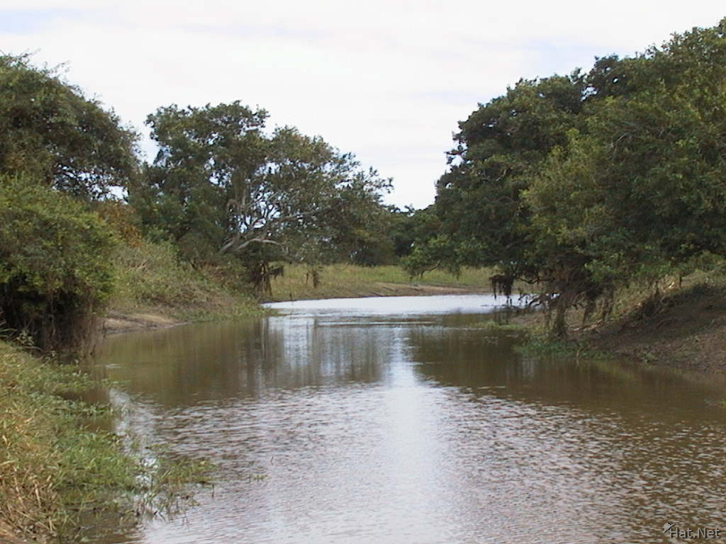 http://www.hat.net/album/south_america/bolivia/5_amazon-pampa_in_rurre/012_the_pampa_river.jpg