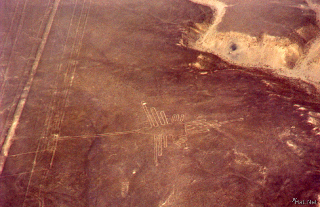 Nazca Lines   Humming Bird